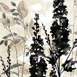 Natural Botanical 2-Melissa Pluch-Art Print