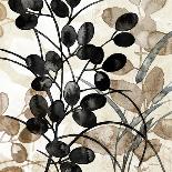 Natural Botanical 2-Melissa Pluch-Framed Art Print