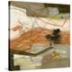 Stretched Canvas Print