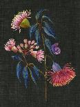 Seeded Eucalyptus I-Melissa Wang-Art Print