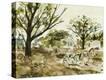 Stretched Canvas Print