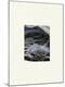 Premium Photographic Print