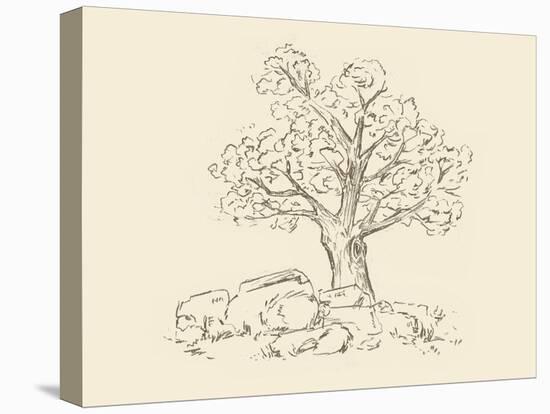 Stretched Canvas Print, , large