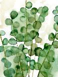 Seeded Eucalyptus II-Melissa Wang-Art Print