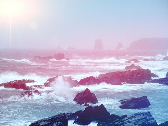 Photographic Print, , large
