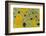 Meller'schameleon-DLILLC-Framed Photographic Print