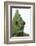 Meller'schameleon-DLILLC-Framed Photographic Print