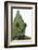 Meller'schameleon-DLILLC-Framed Photographic Print