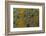 Meller'schameleon-DLILLC-Framed Photographic Print