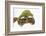 Meller'schameleon-DLILLC-Framed Photographic Print