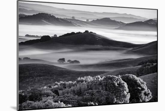 Mellow Country Hills with Fog Black White Petaluma California-Vincent James-Mounted Photographic Print