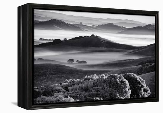 Mellow Country Hills with Fog Black White Petaluma California-Vincent James-Framed Premier Image Canvas