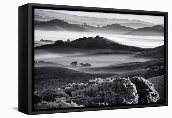 Mellow Country Hills with Fog Black White Petaluma California-Vincent James-Framed Premier Image Canvas
