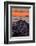 Mellow Sunset at Coit Tower, San Francisco California-Vincent James-Framed Photographic Print