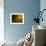 Mellow Yellow-Doug Chinnery-Framed Photographic Print displayed on a wall