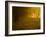 Mellow Yellow-Doug Chinnery-Framed Photographic Print