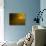 Mellow Yellow-Doug Chinnery-Photographic Print displayed on a wall