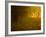 Mellow Yellow-Doug Chinnery-Framed Photographic Print