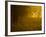 Mellow Yellow-Doug Chinnery-Framed Photographic Print