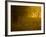 Mellow Yellow-Doug Chinnery-Framed Photographic Print