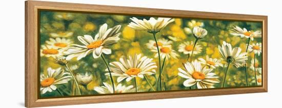 Mélodie de marguerites-Pierre Viollet-Framed Stretched Canvas