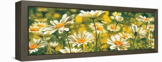 Mélodie de marguerites-Pierre Viollet-Framed Stretched Canvas