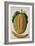 Melon, C.1568-Jacques Le Moyne-Framed Giclee Print