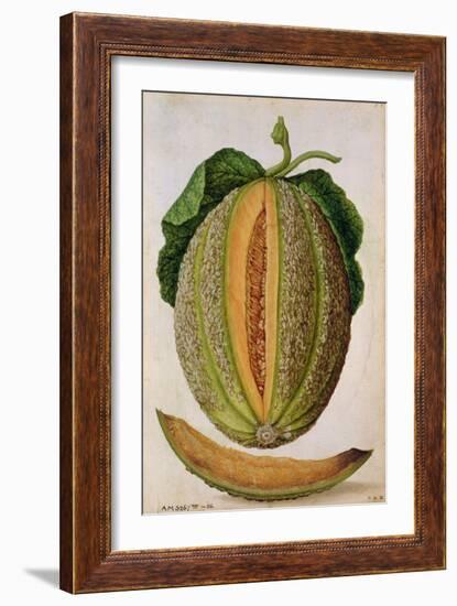 Melon, C.1568-Jacques Le Moyne-Framed Giclee Print