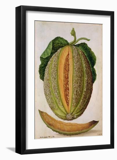 Melon, C.1568-Jacques Le Moyne-Framed Giclee Print