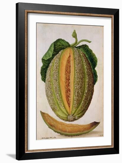 Melon, C.1568-Jacques Le Moyne-Framed Giclee Print