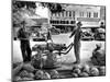 Melon Salesman and Fiddler-Alfred Eisenstaedt-Mounted Photographic Print