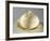 Melon-Shaped Composite, Earthenware-null-Framed Giclee Print