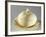 Melon-Shaped Composite, Earthenware-null-Framed Giclee Print