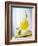 "Melon Stick" (Melon Drink)-Klaus Arras-Framed Photographic Print