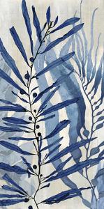 Sea Nature in Blue II by Melonie Miller