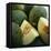 Melons-David Munns-Framed Premier Image Canvas