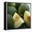 Melons-David Munns-Framed Premier Image Canvas
