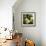 Melons-David Munns-Framed Premium Photographic Print displayed on a wall