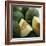 Melons-David Munns-Framed Premium Photographic Print