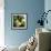 Melons-David Munns-Framed Premium Photographic Print displayed on a wall