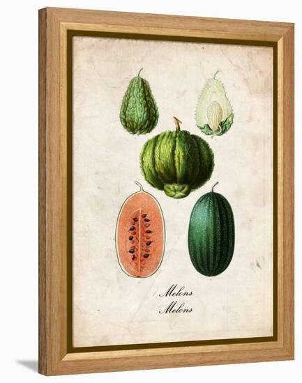 Melons-null-Framed Stretched Canvas