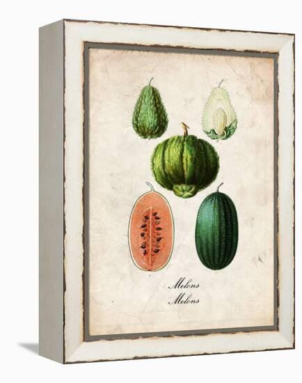Melons-null-Framed Stretched Canvas