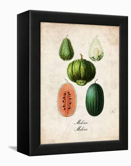 Melons-null-Framed Stretched Canvas