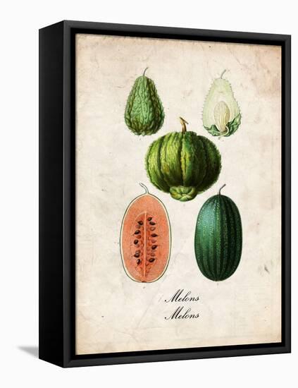 Melons-null-Framed Stretched Canvas