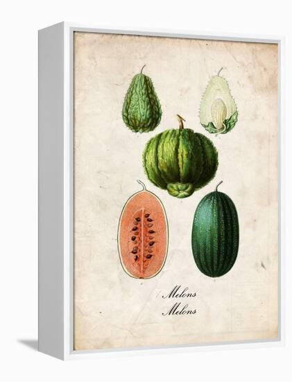 Melons-null-Framed Stretched Canvas