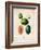 Melons-null-Framed Premium Giclee Print