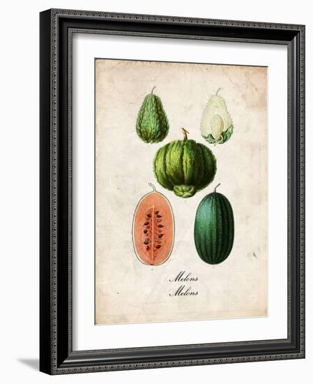 Melons-null-Framed Premium Giclee Print