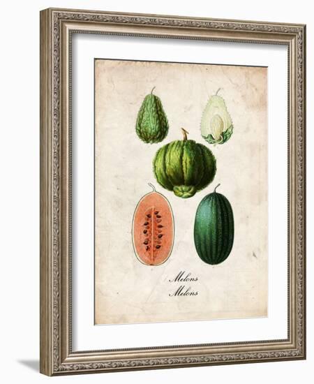 Melons-null-Framed Art Print