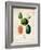 Melons-null-Framed Art Print