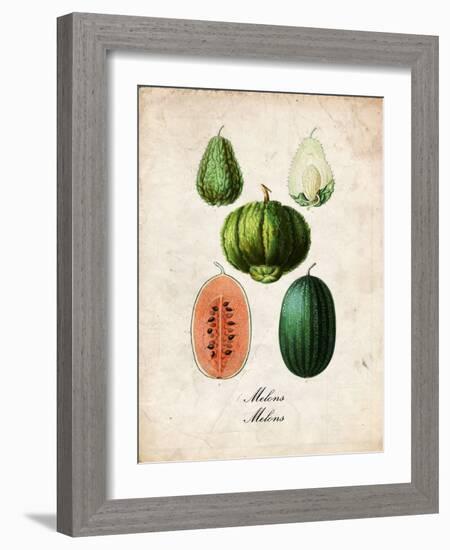 Melons-null-Framed Art Print